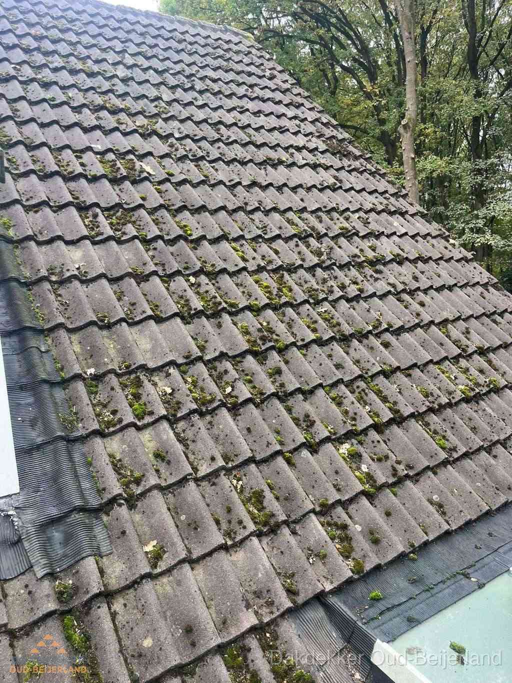 Verweerd pannendak met mosgroei dat renovatie nodig heeft in Oud-Beijerland
