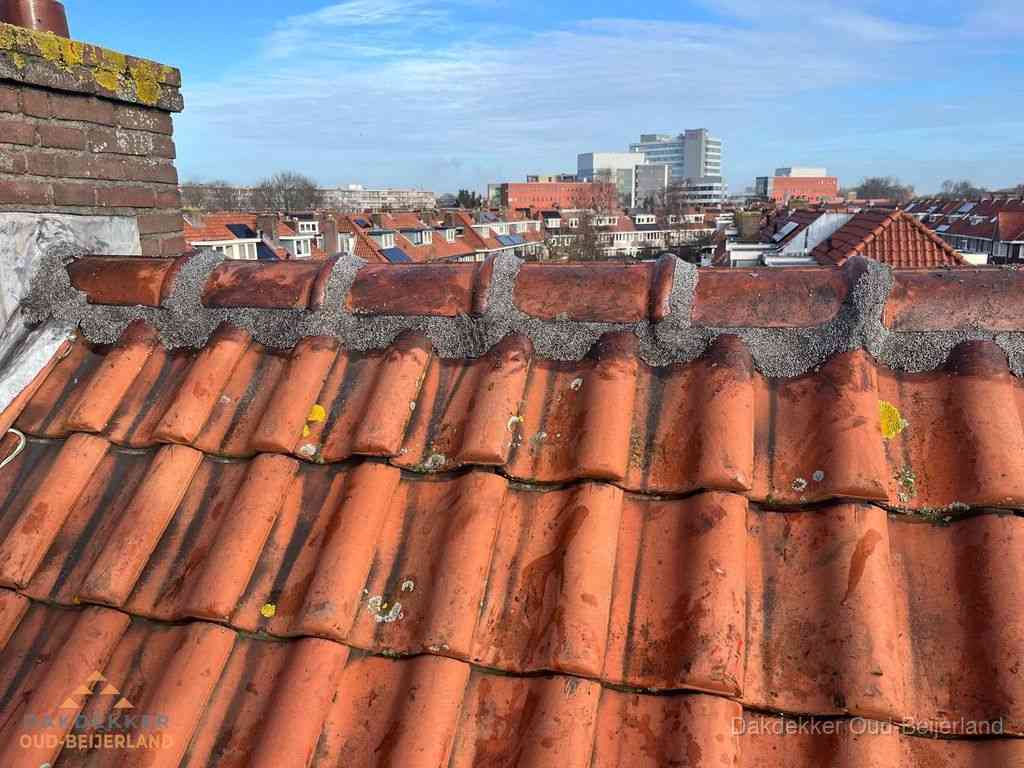 Pannendak met nokvorst en schoorsteen, dakrenovatie in Oud-Beijerland Pannendak met nokvorst en schoorsteen, dakrenovatie in Oud-Beijerland