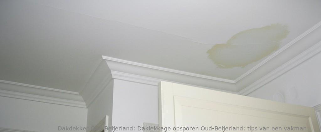 Daklekkage Opsporen Oud Beijerland