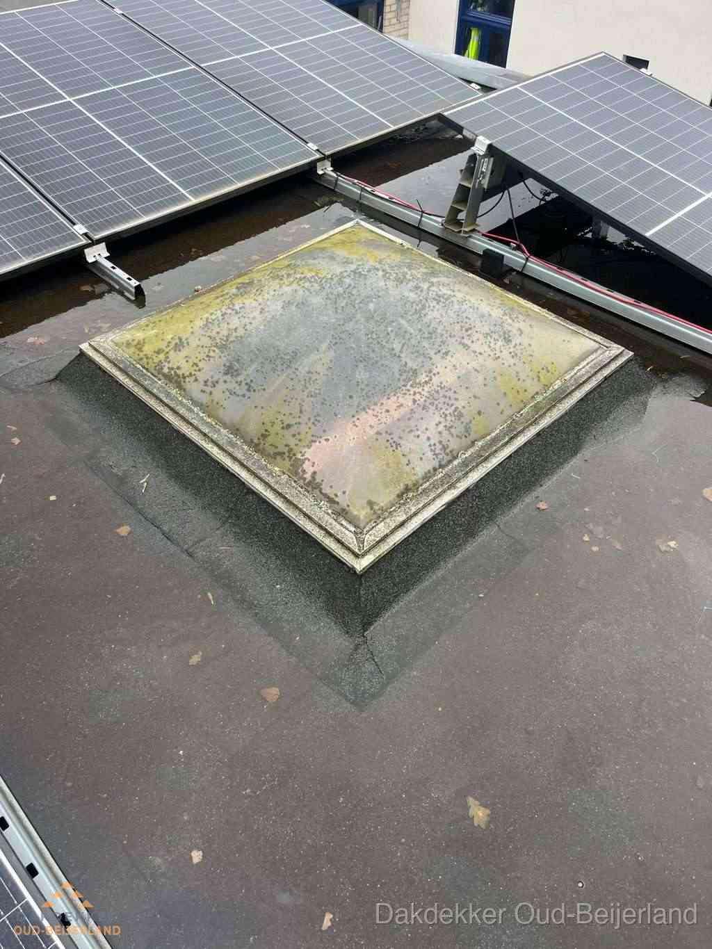 Vervuilde lichtkoepel op plat dak met zonnepanelen in Oud-Beijerland Vervuilde lichtkoepel op plat dak met zonnepanelen in Oud-Beijerland