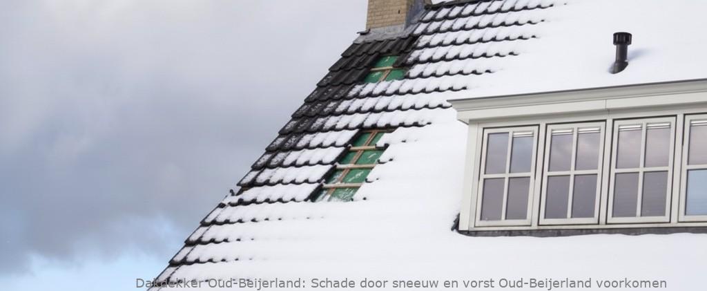 Schade Door Sneeuw En Vorst Oud Beijerland